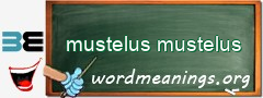 WordMeaning blackboard for mustelus mustelus